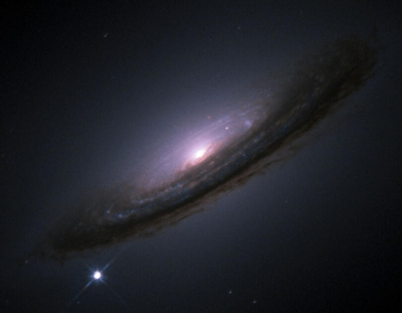 SN1994D